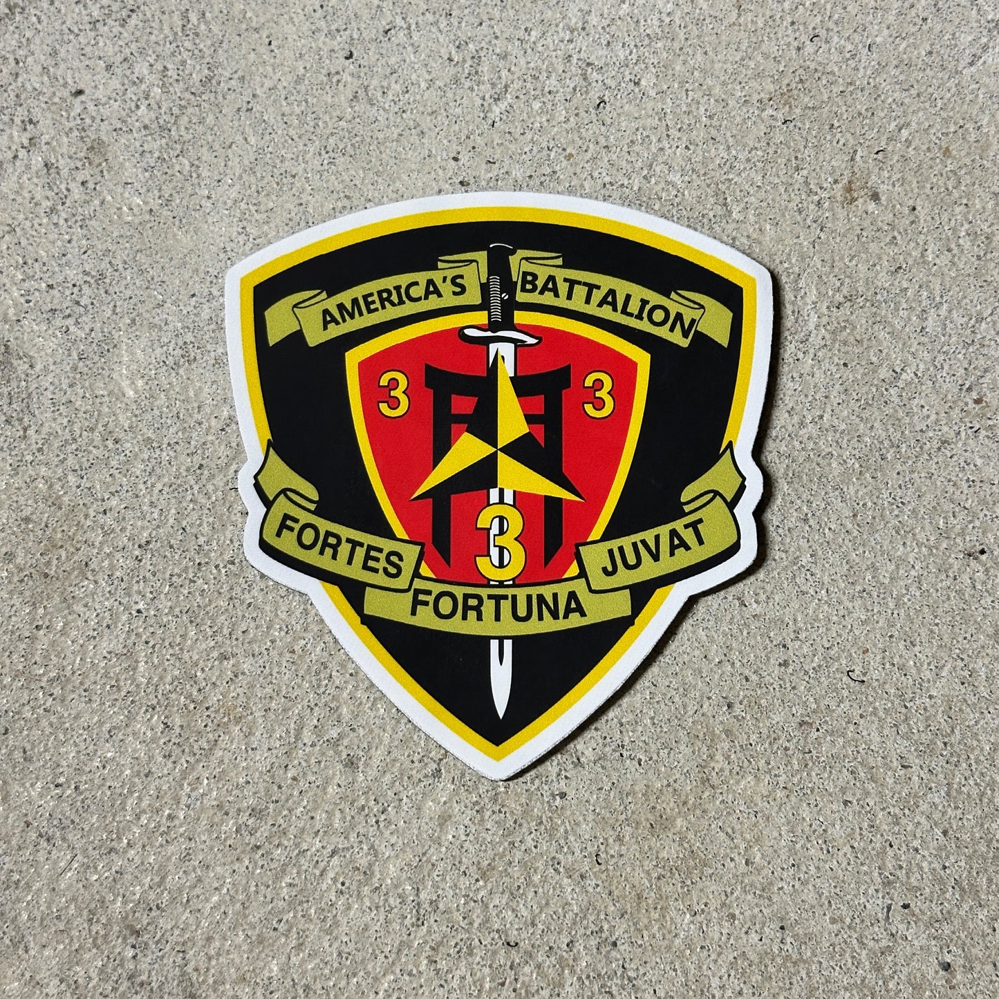 3d Battalion 3d Marines Patch