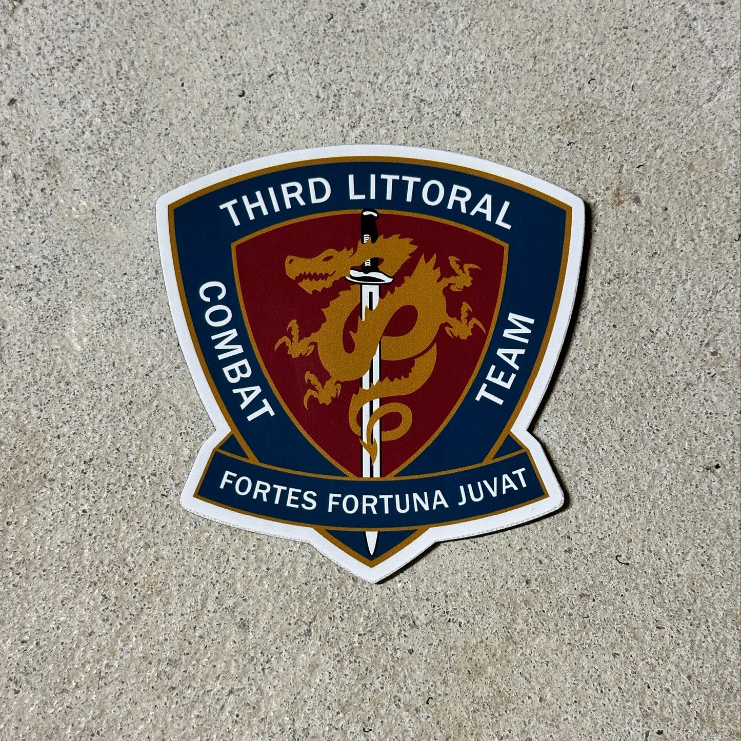 3d Littoral Combat Team Patch