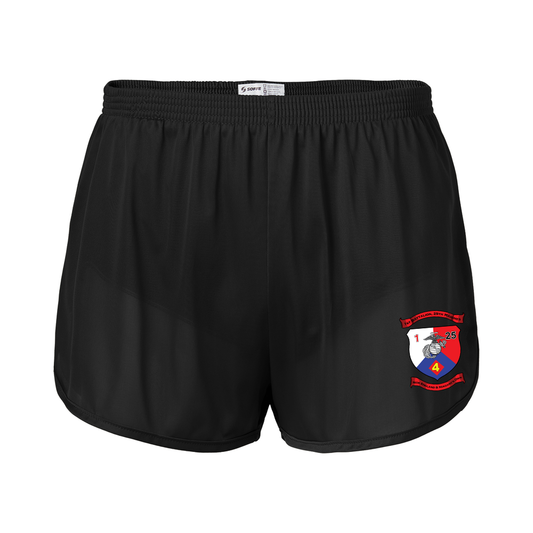 1st Battalion 25th Marines Silkies