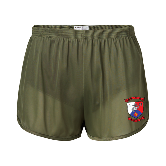 1st Battalion 25th Marines Silkies