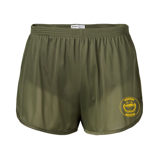 1st Light Armored Reconnaissance Battalion Silkies