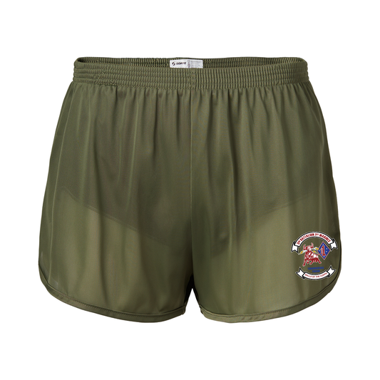 3d Battalion 1st Marines Silkies