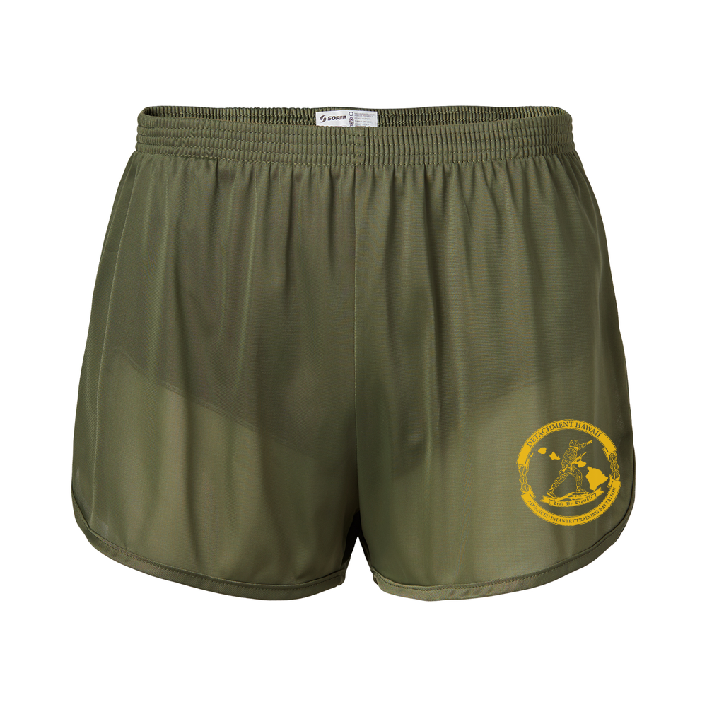Advanced Infantry Training Battalion - Hawaii Silkies