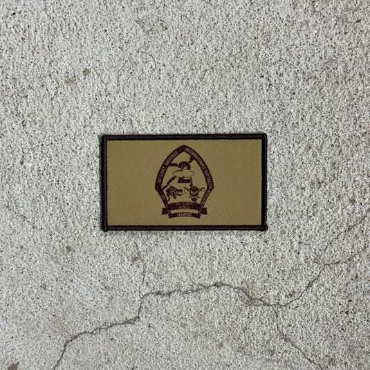 2d Light Armored Reconnaissance Battalion Flak Patch