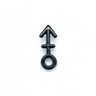 Pin