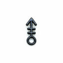 Pin