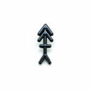 Pin