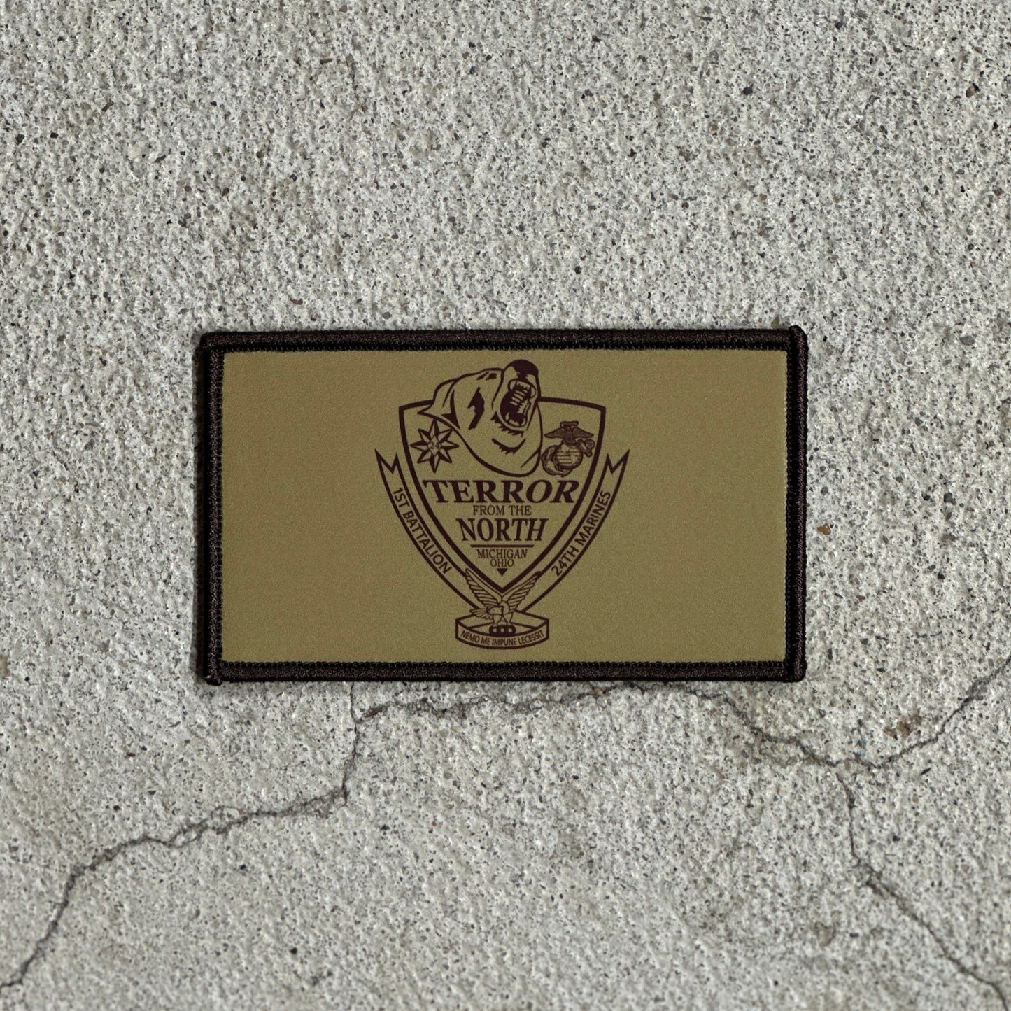 1st Battalion 24th Marines Flak Patch