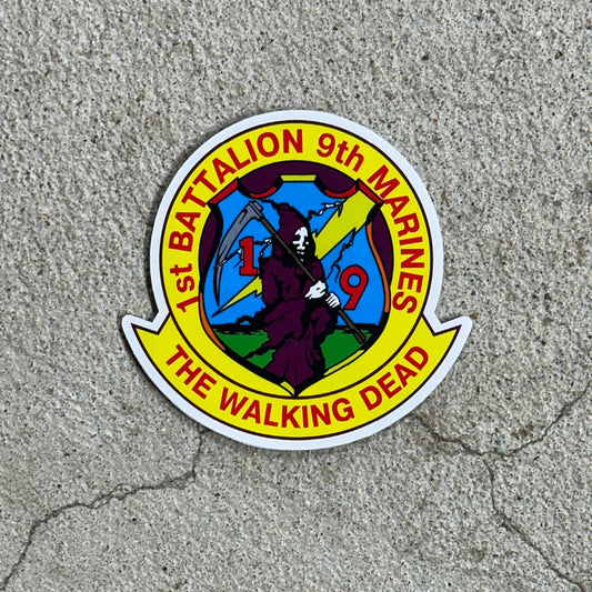 1st Battalion 9th Marines Patch