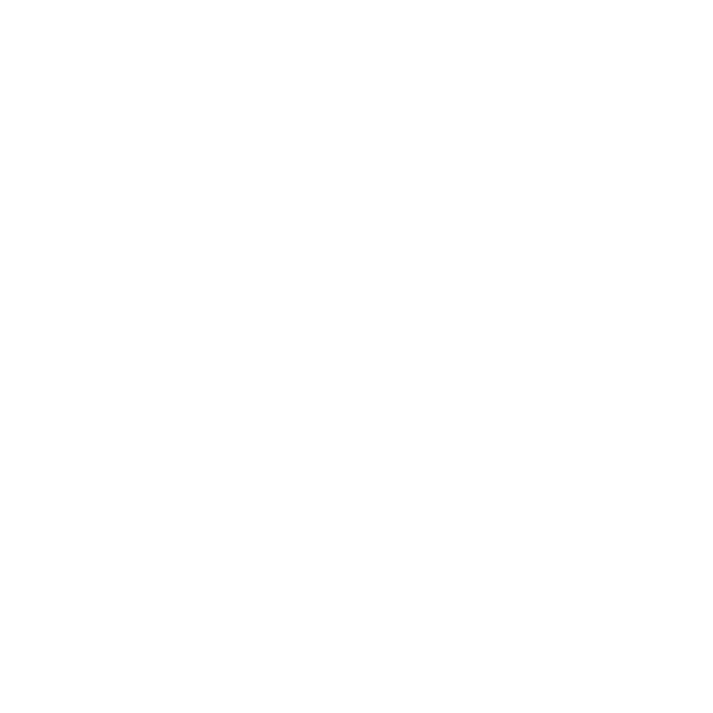 Team Leader Symbol Decal