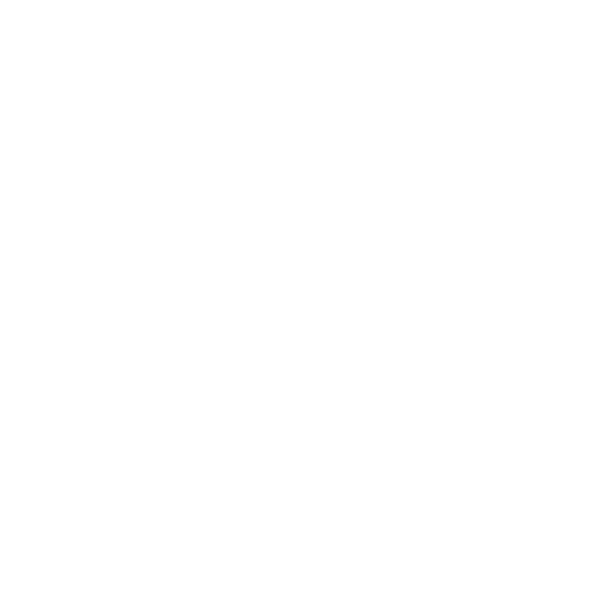 Team Leader Symbol Decal