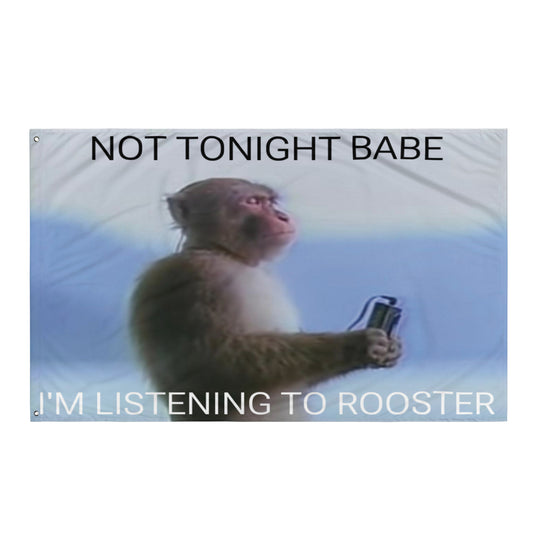 Not Tonight Babe Flag