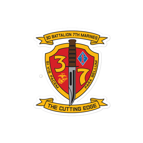 3d Battalion 7th Marines