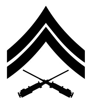 Load image into Gallery viewer, Heavy Guns Rank Insignia Decal
